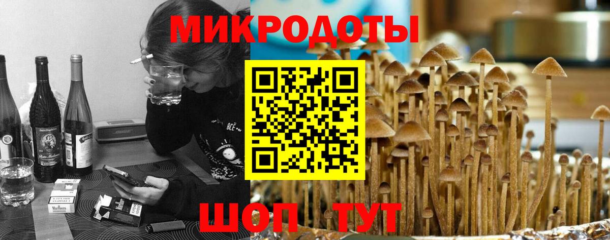Псилоцибиновые грибы Psilocybine cubensis Воронеж