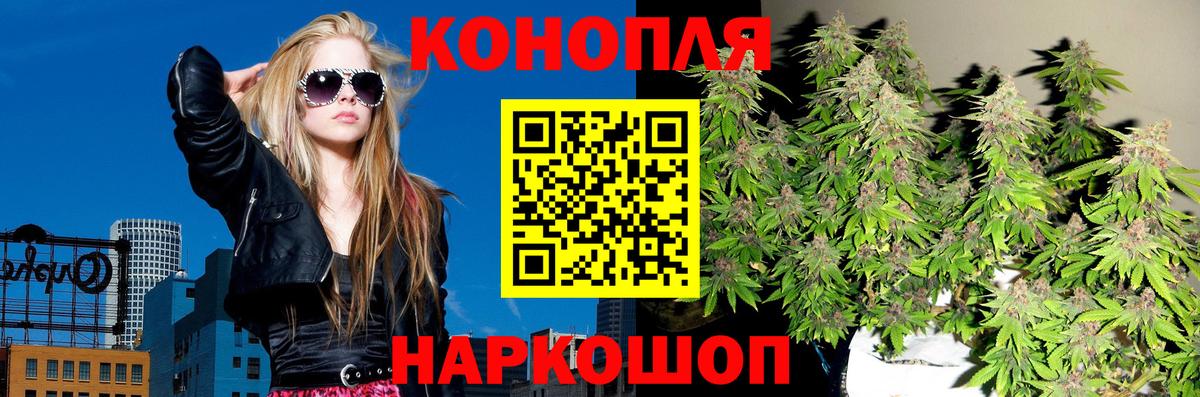 Шишки марихуана план Воронеж